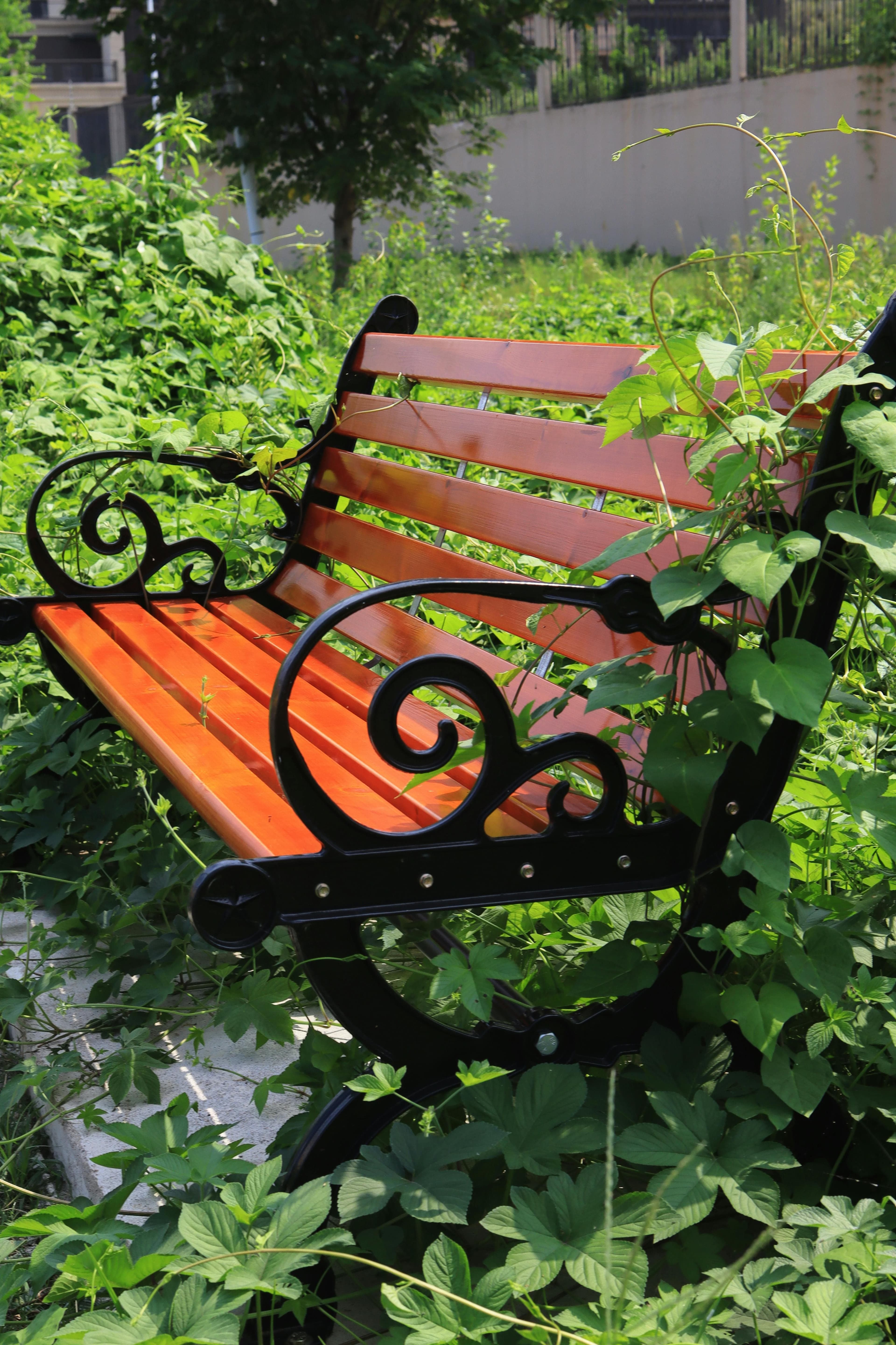 Garden Area Painting