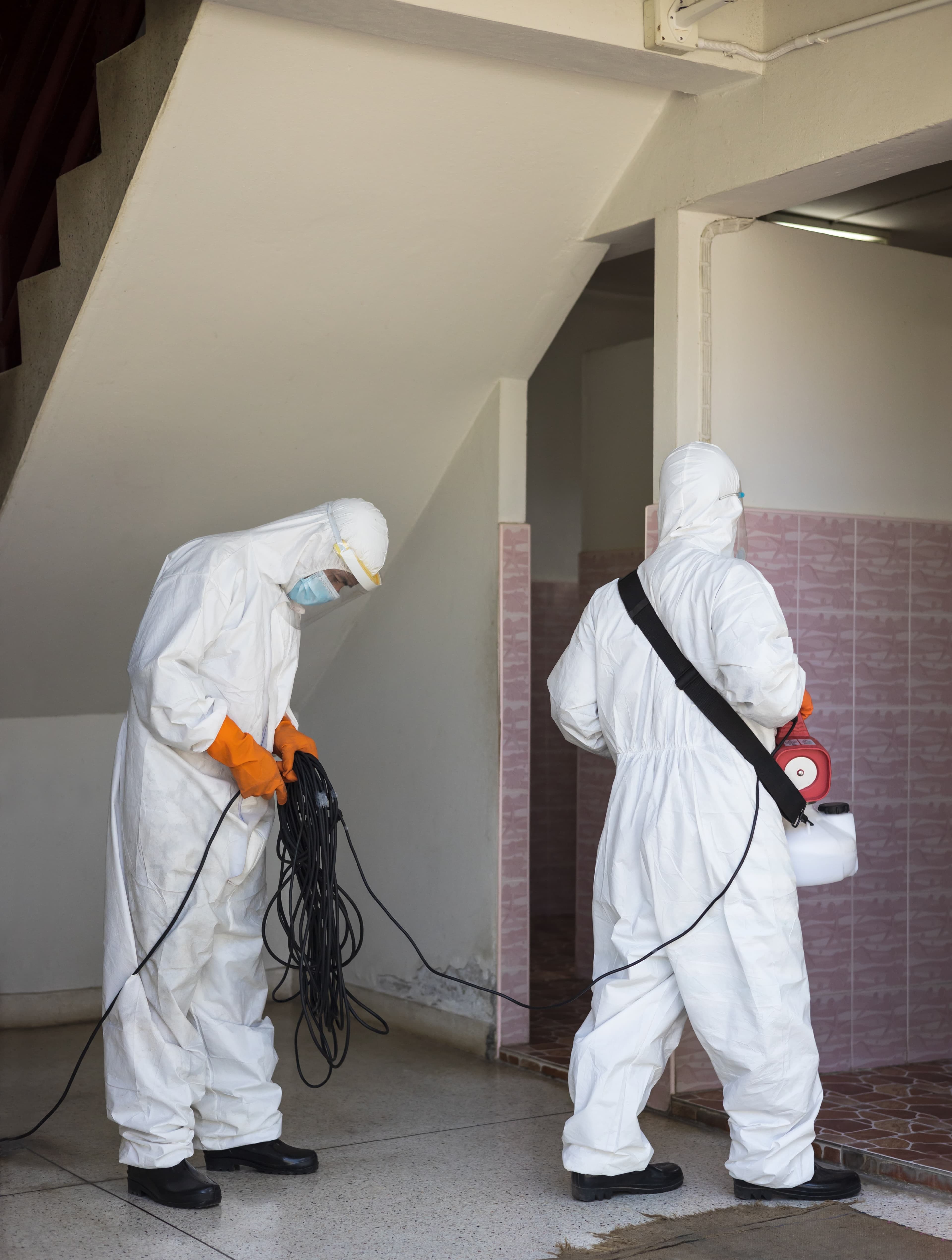 General Pest Control Treatment