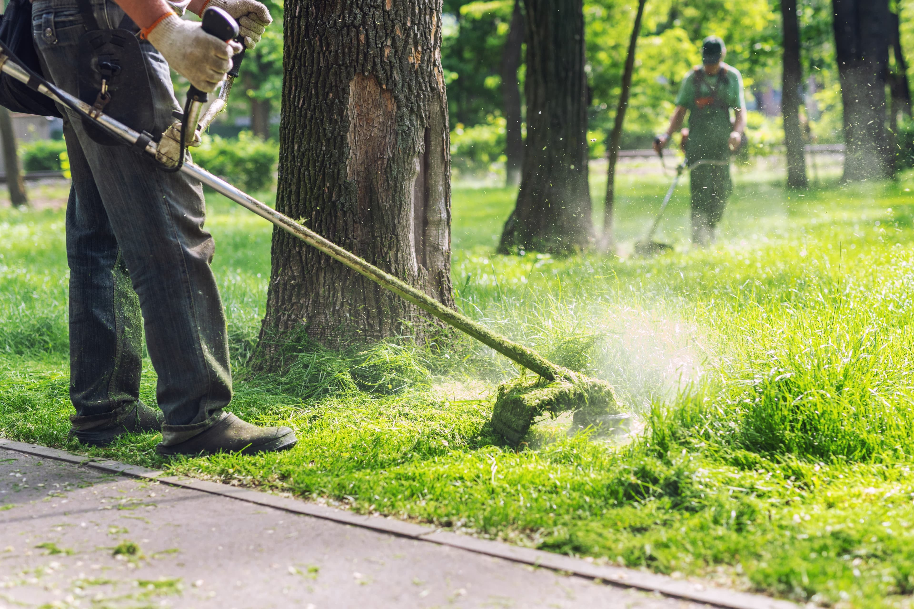 Landscaping