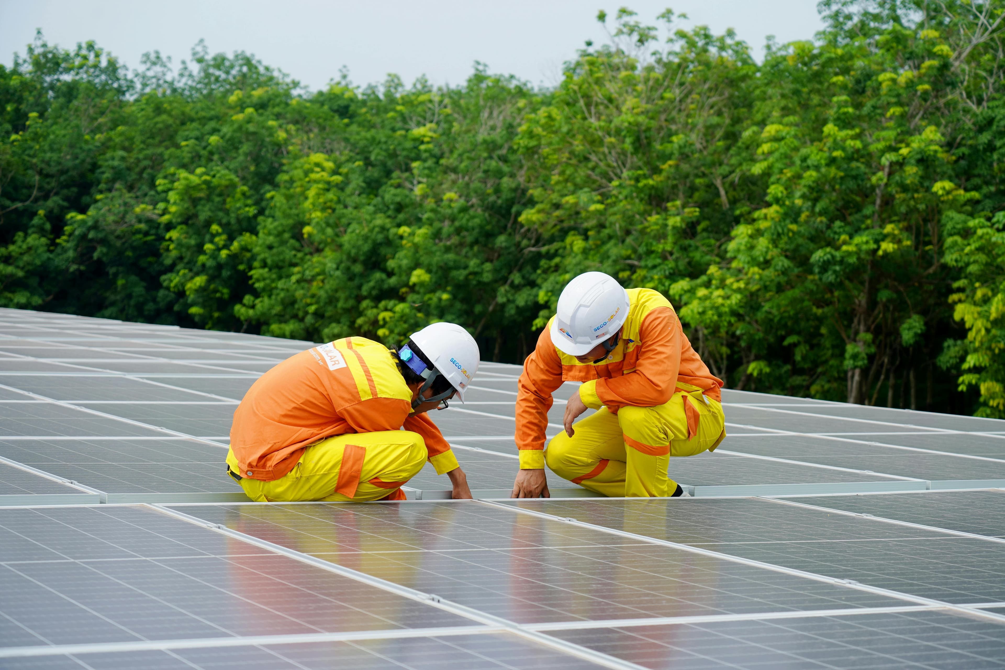 Panel Cleaning & Maintenance