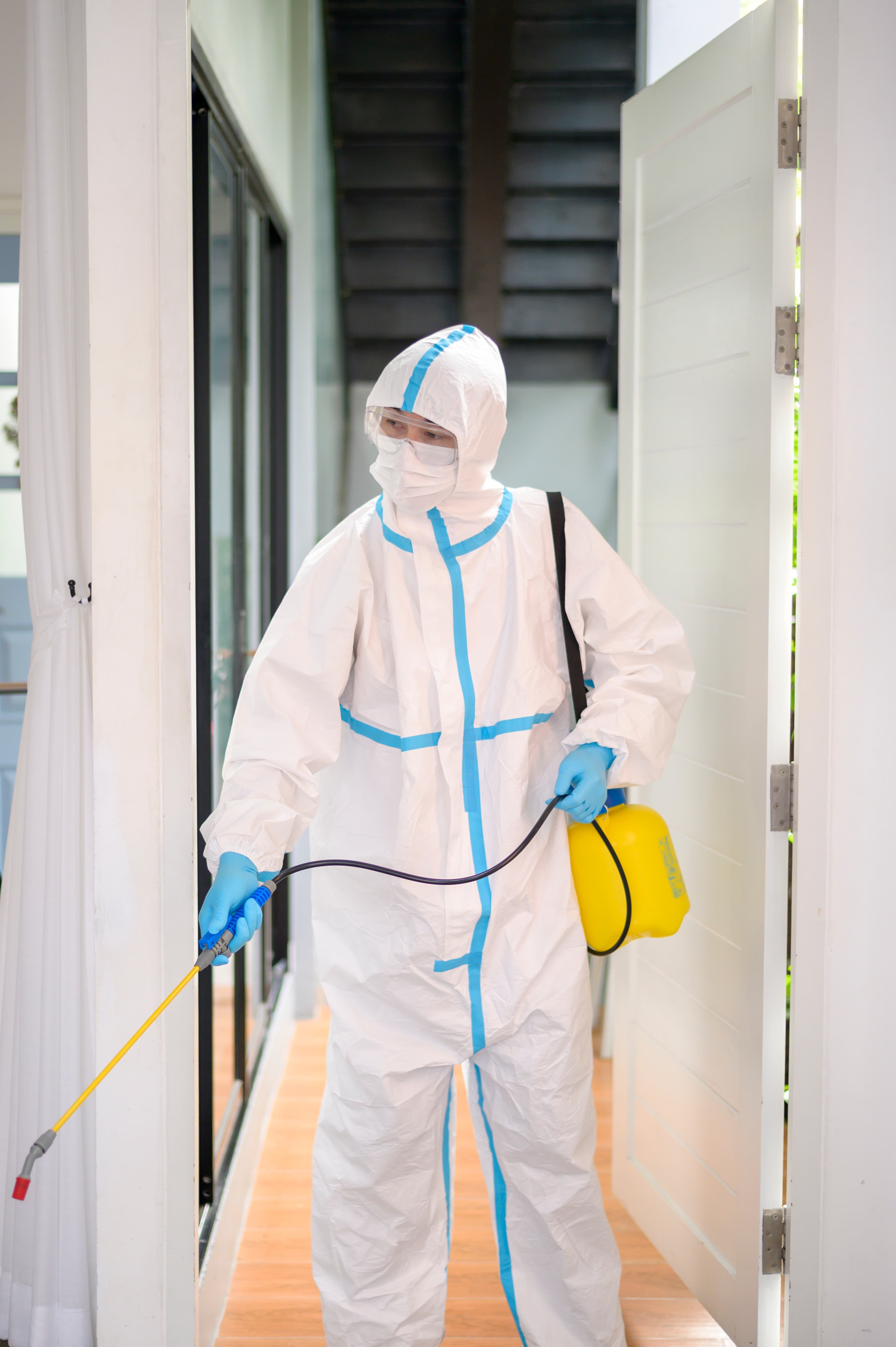 Rodent Control Treatment