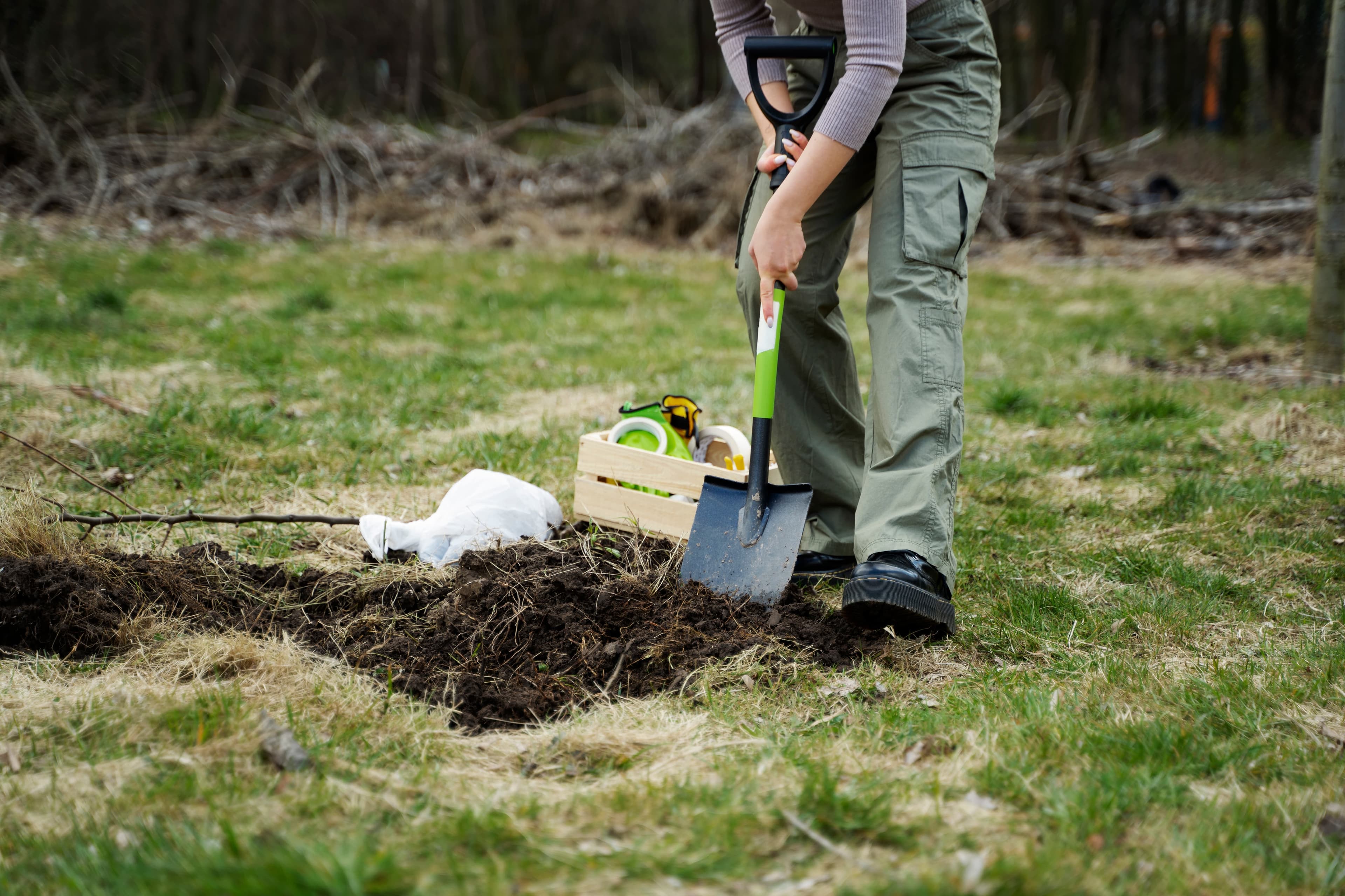 Softscape Works – Lawn & Plantation Repair