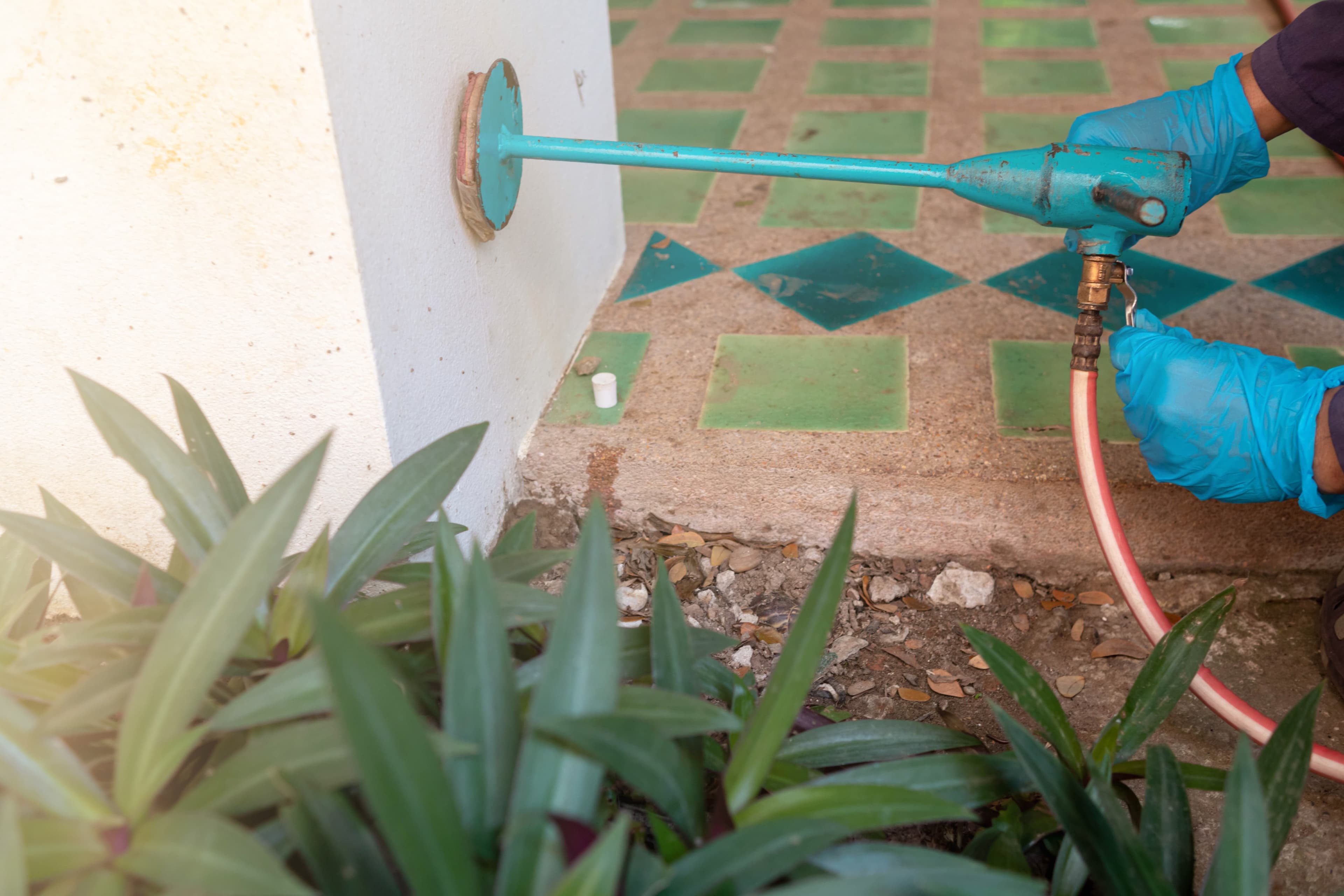 Termite Treatment